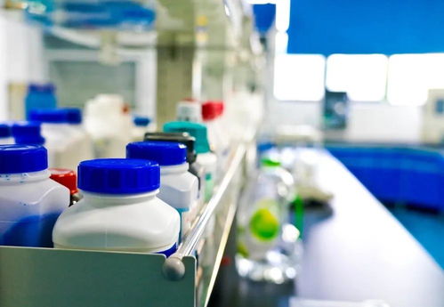 共筑發(fā)展 大展鵬圖——上海鵬圖2020年第一屆技術交流培訓會成功舉辦